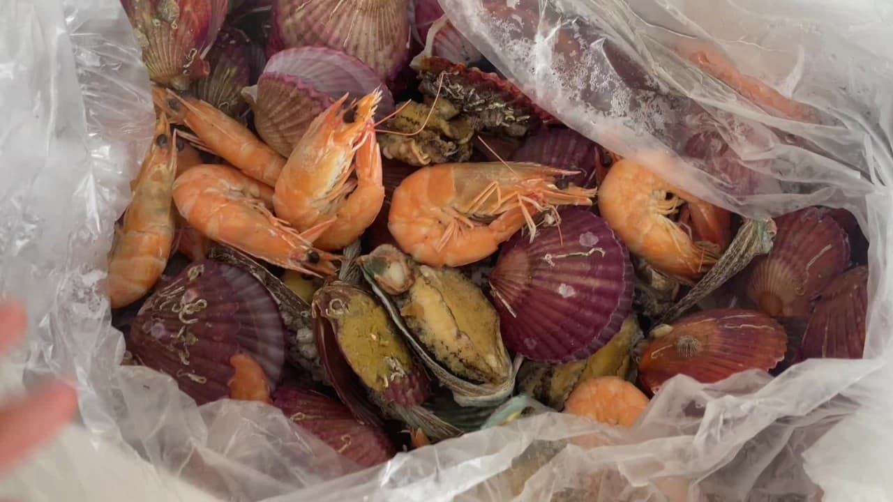 청정드림힘찬전복 사진 2