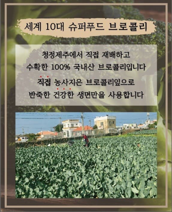 통일가든 사진 4