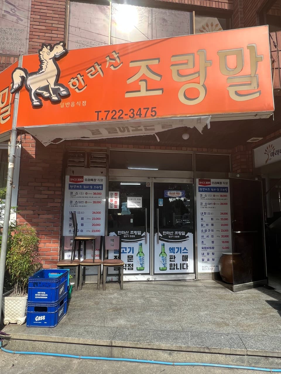 한라산조랑말 사진 3