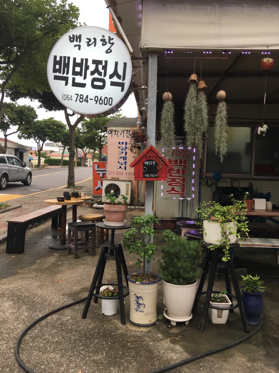백리향 사진 4