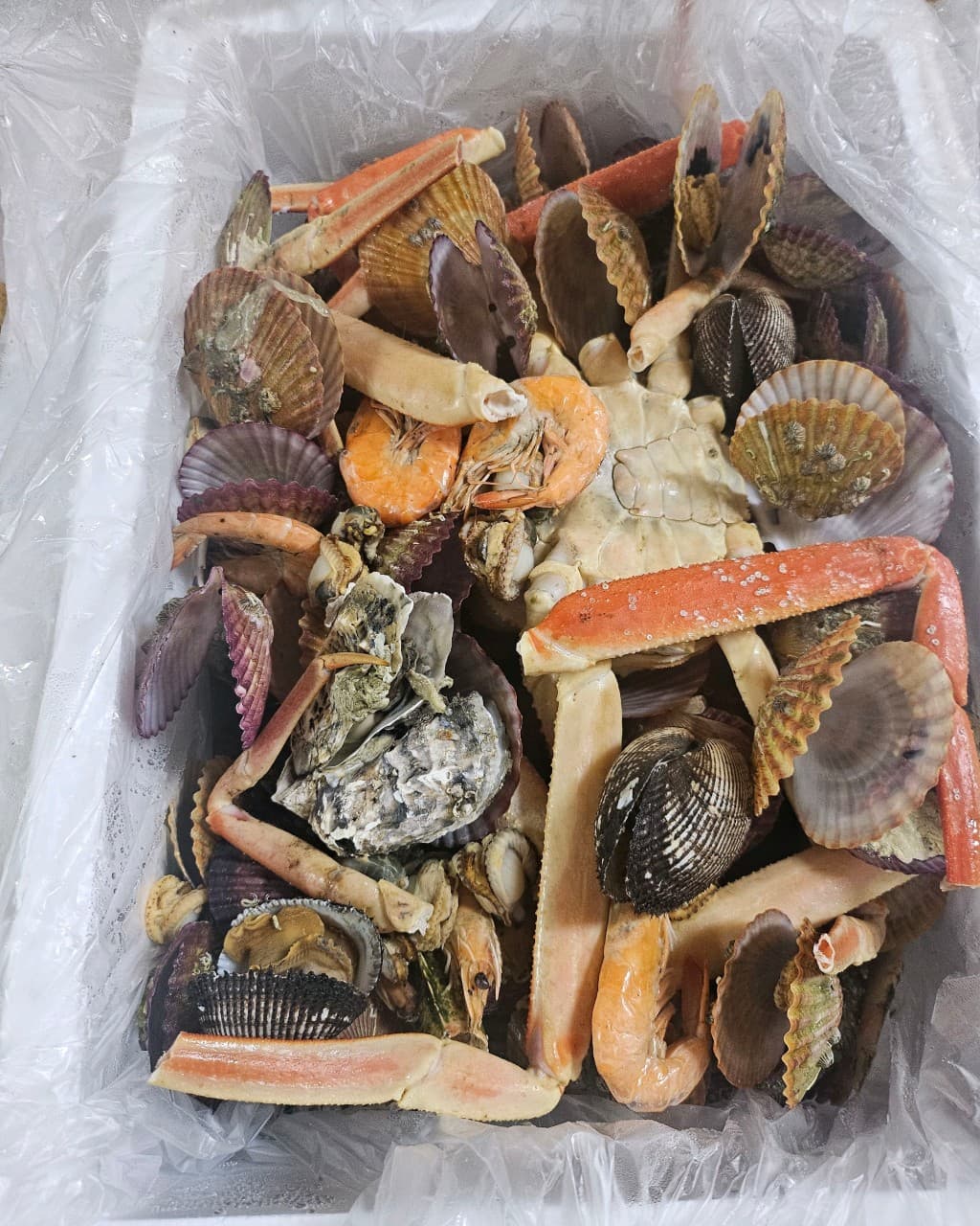 청정드림힘찬전복
