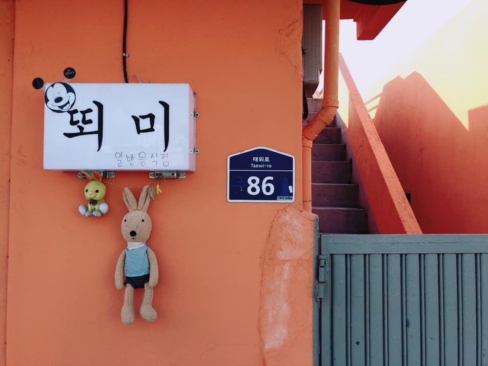 뙤미 사진 3