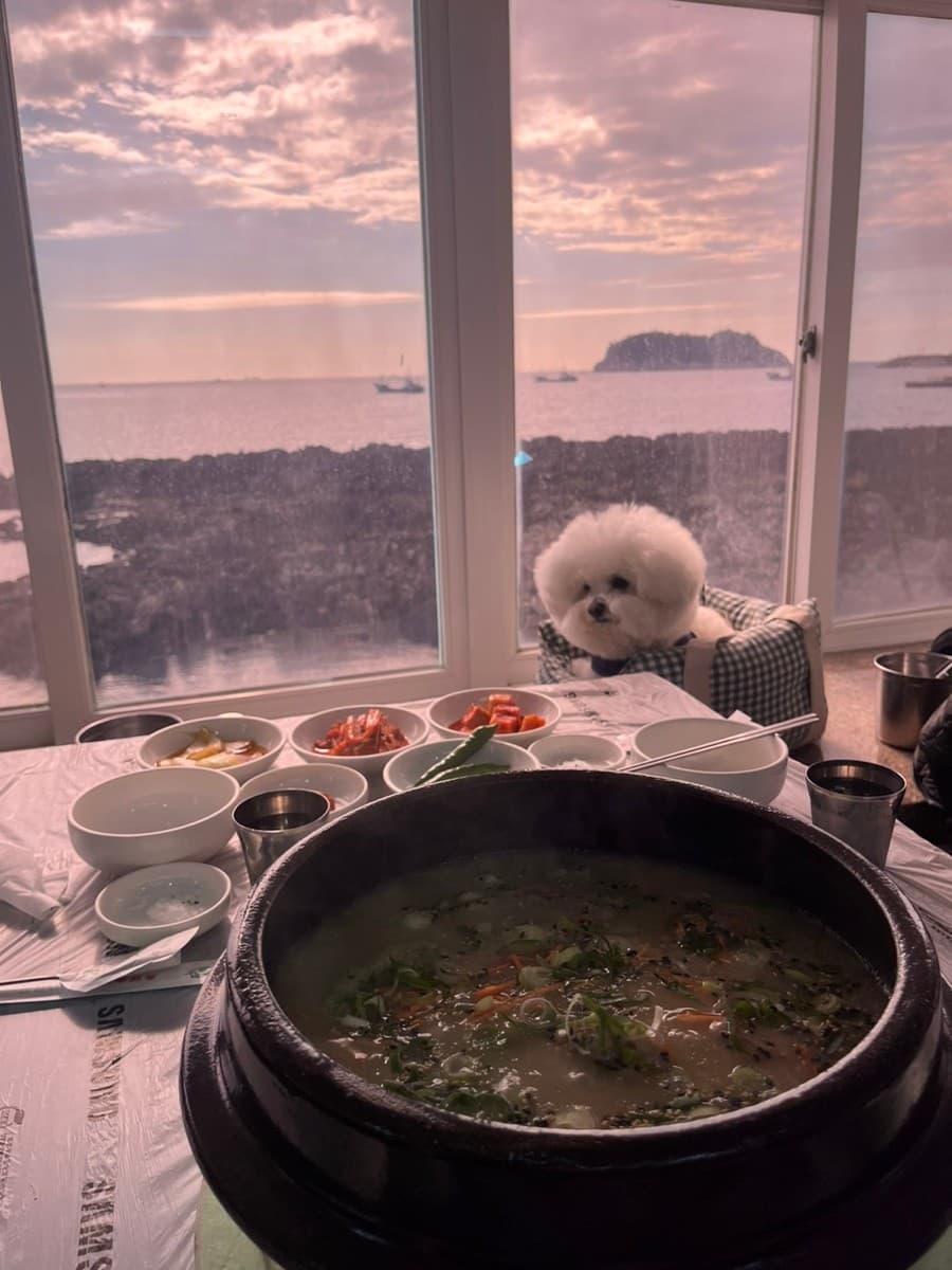 검은여닭도가니
