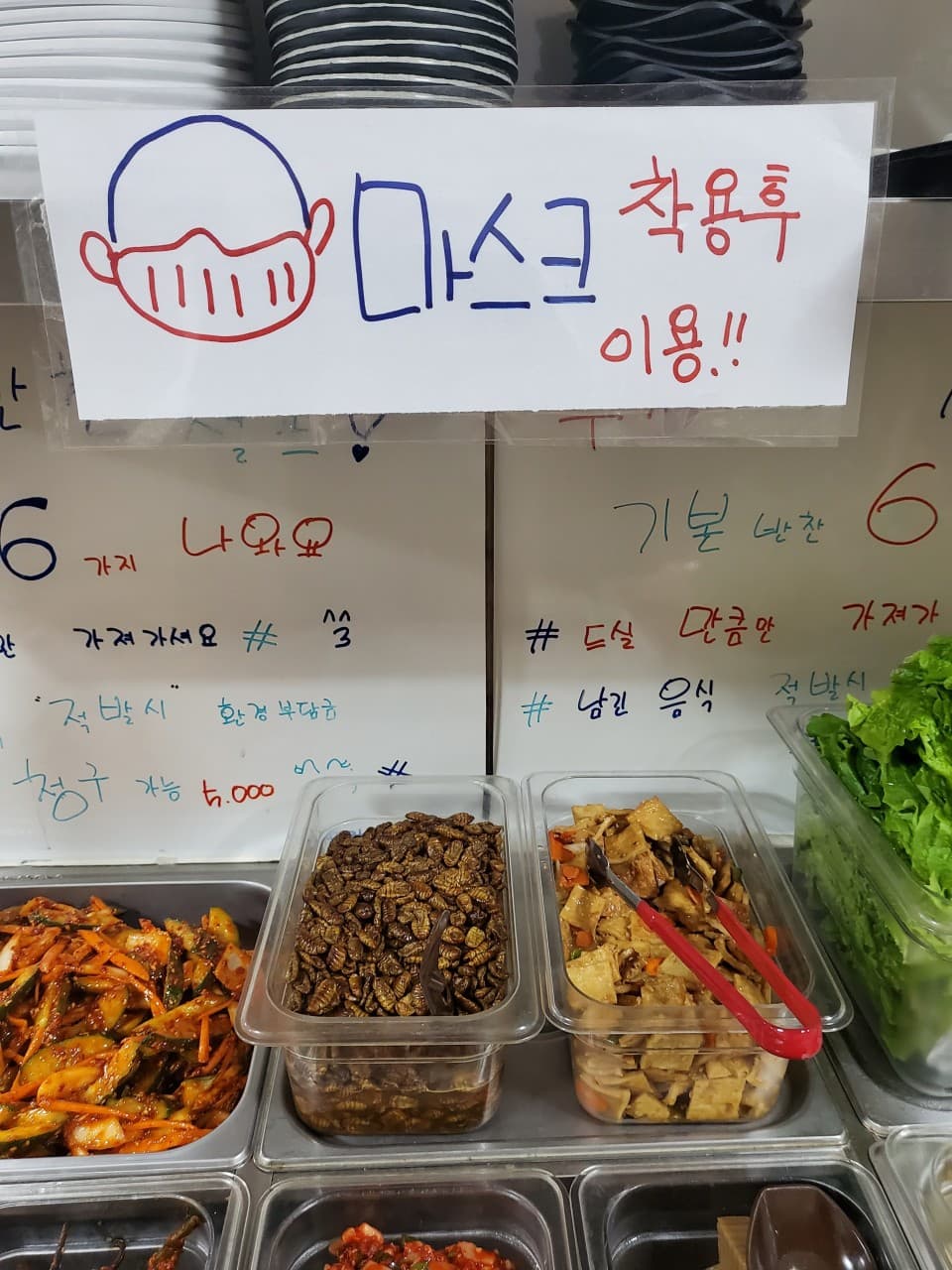 백리향 사진 3
