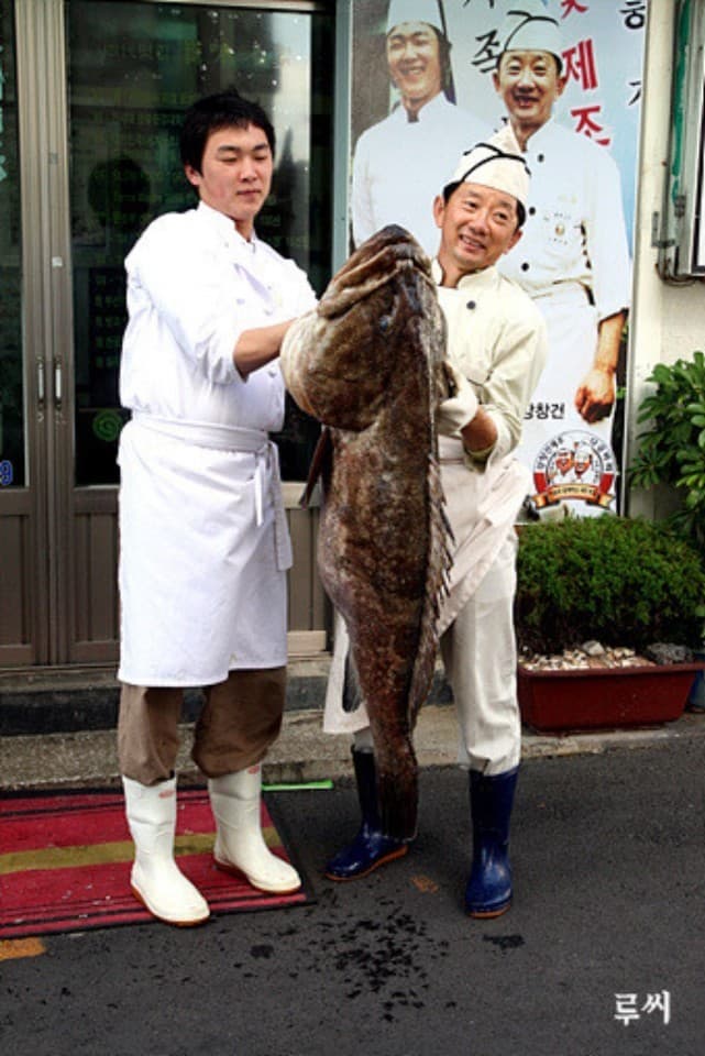 진미명가 사진 3