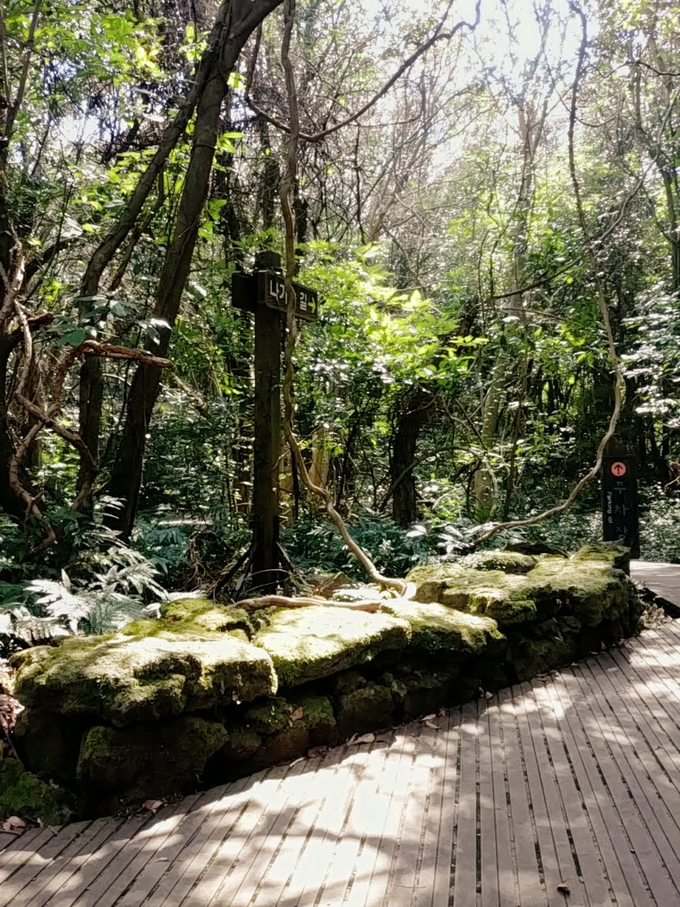 3d87561ee9d157581c91e28ed6100b9157043932.jpg